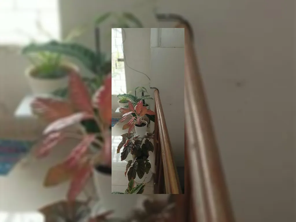 jual rumah merkuri margahayu bandung.jpg